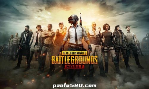 PUBG MOBILE【绝地求生台区国际版】
